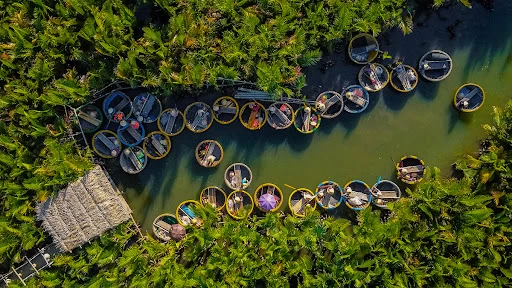 Bay Mau Coconut Forest