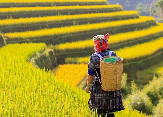 The beauty of Sapa