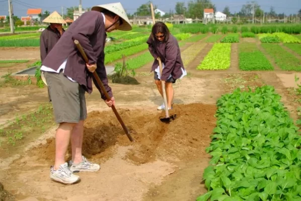 Tra Que Vegetable Village