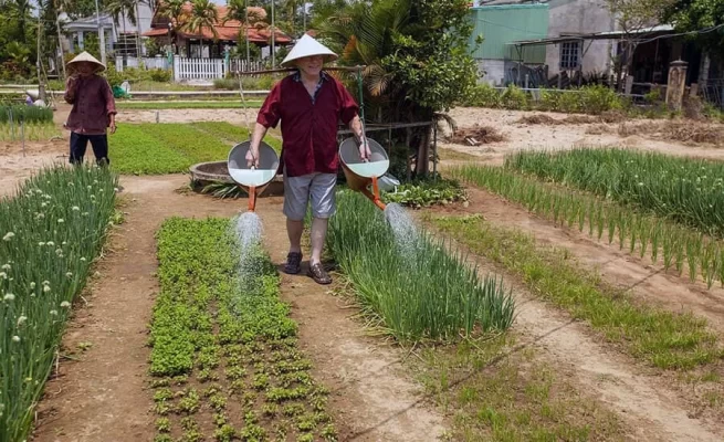 Tra Que Vegetable Village