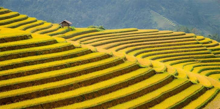 Autumn in Sapa