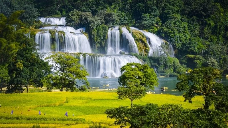 Ban Gioc Waterfall – Majestic Beauty of Cao Bang Nature 2024