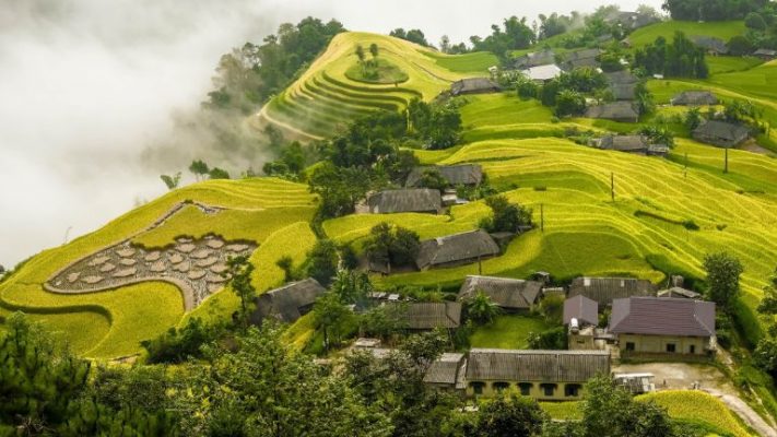 Ban Phung Terraced Fields