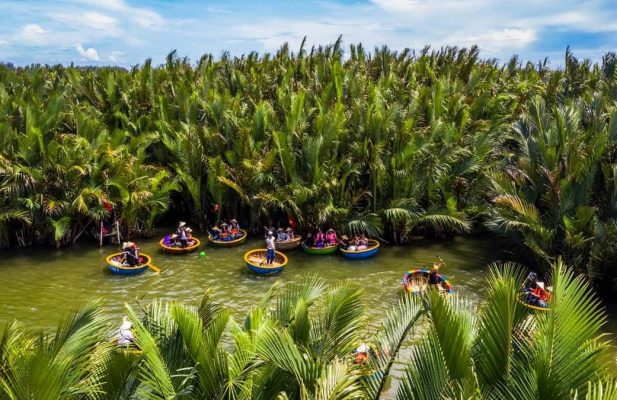 Bay Mau Coconut Forest