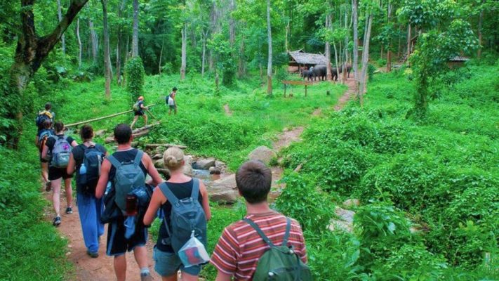 Cuc Phuong National Park