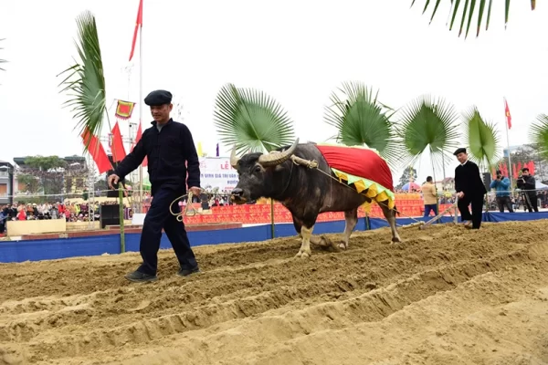 First Plowing Ceremony