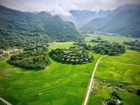 Green Rice Season in Mai Chau