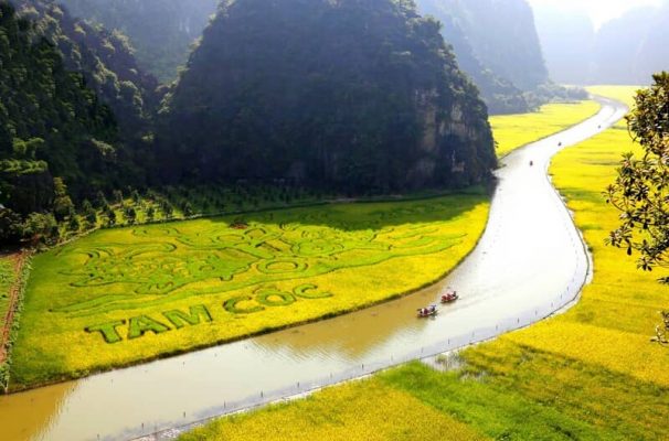 Harvest season in Ninh Binh