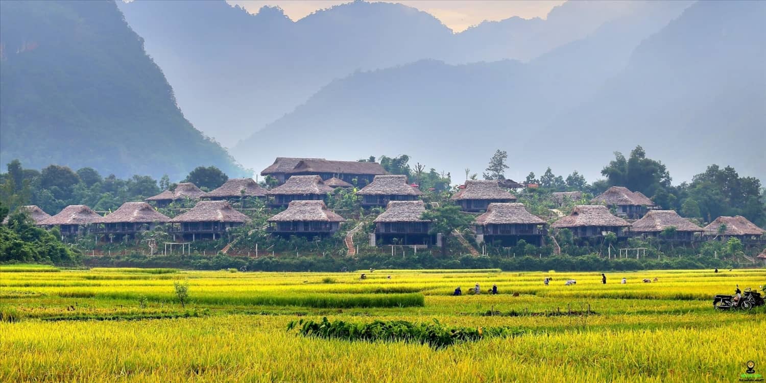 Impressive Mai Chau