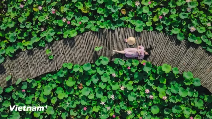 Lotus Pond at Mua Cave