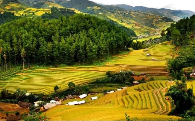 Mai Chau