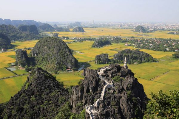 Mua Cave in the rice harvest season