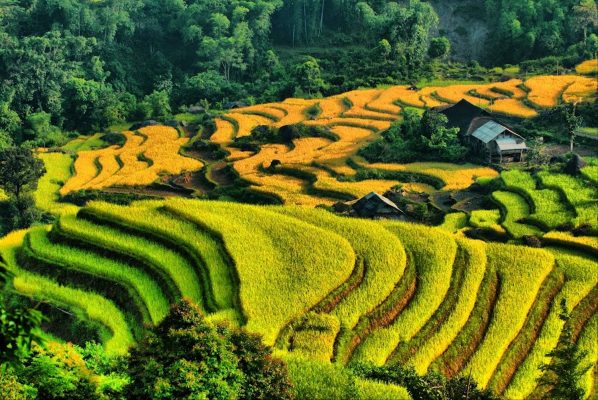 Nam-Ty Terraced Fields