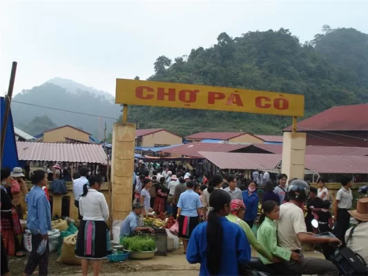 Pa Co Market