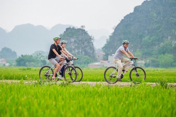 Spring in Ninh Binh