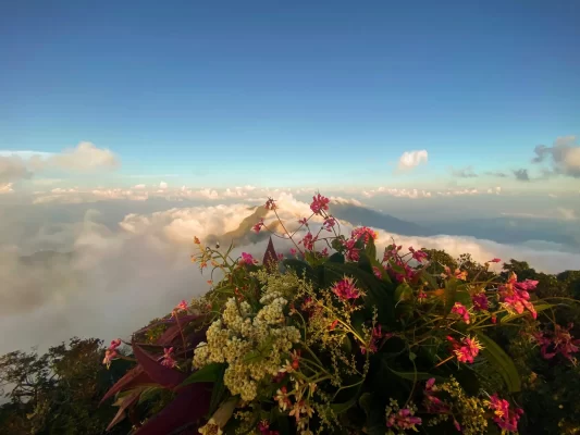 Tay Con Linh Mountains