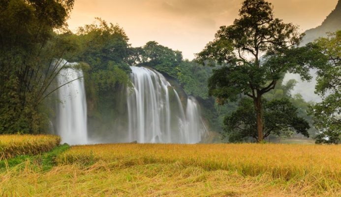 The beauty of Ban Doc waterfall in the harvest season