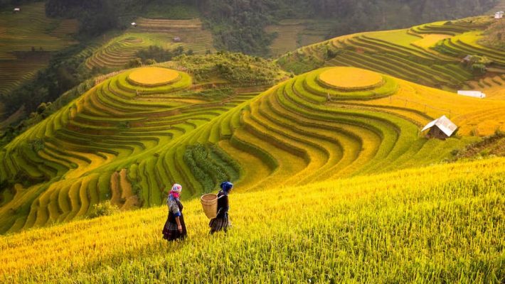 The beauty of Sapa