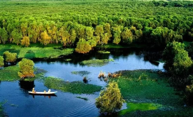 The pristine beauty of U Minh Ha National Park