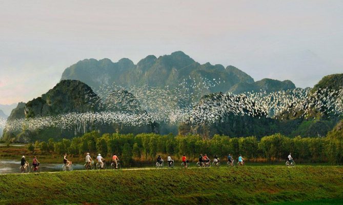 Thung Nham Bird Garden