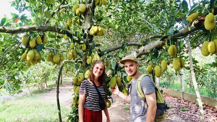 Ba Cong fruit garden