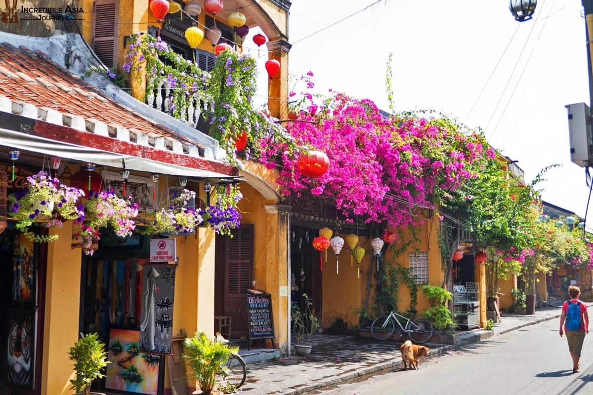 Best Time to Visit Hoi An