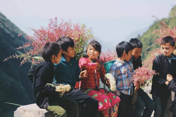 Ethnic minority communities in Ha Giang create cultural diversity