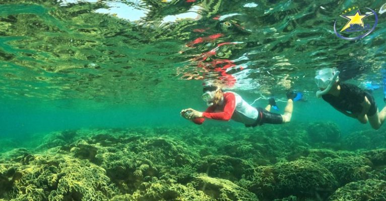 Experience scuba diving to see coral in Ham Ninh fishing village