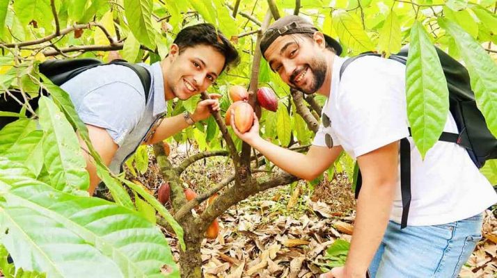 Farm visits and fruit picking