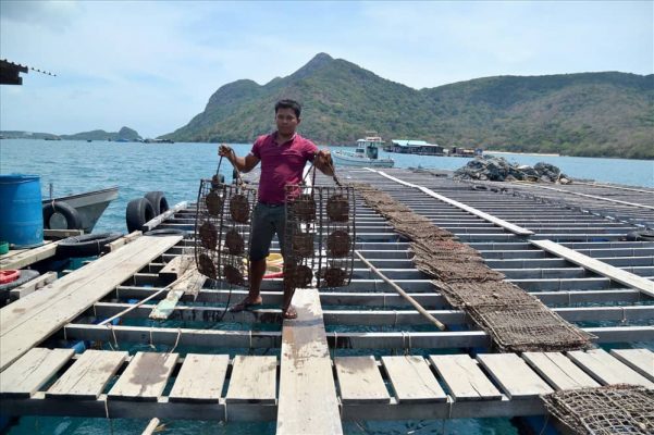 Pearl farming area in Ham Ninh