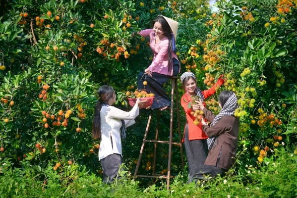 Trung An Fruit Garden