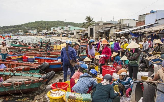 You can find fresh seafood ingredients at An Thoi Market.