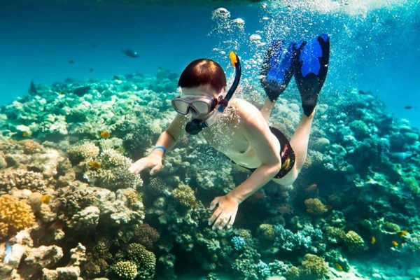 Diving to see coral at Son Tra peninsula