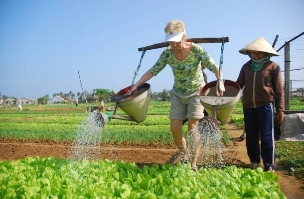 Tra Que Vegetable Village