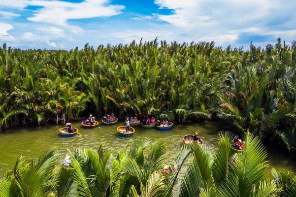 You will discover the beauty of Cam Thanh Coconut Forest