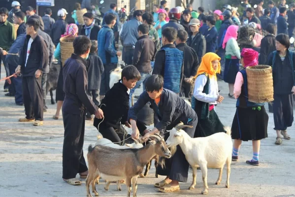 Bustling scene at Meo Vac Market