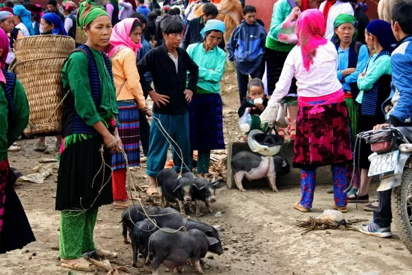 Let's explore the largest market in Ha Giang