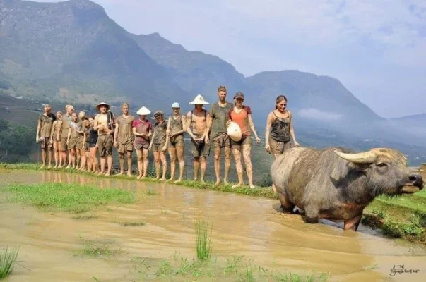 A day of experience as a farmer for tourists.