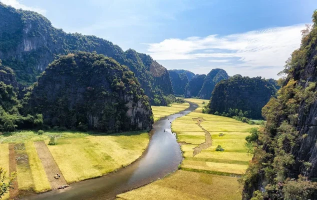 Autumn is harvest time with golden ripe rice fields.