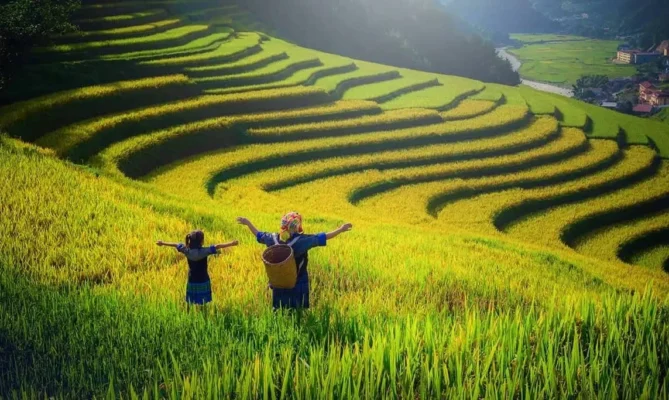 Best time to visit Sapa