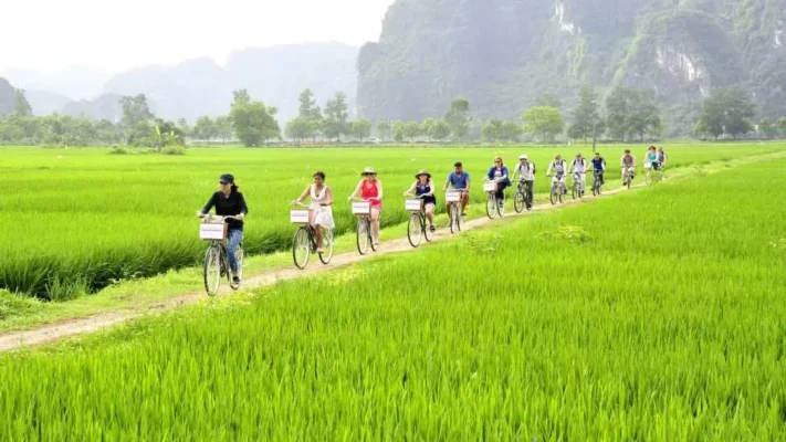 Cycling in Ninh Binh brings a sense of peace and relaxation.