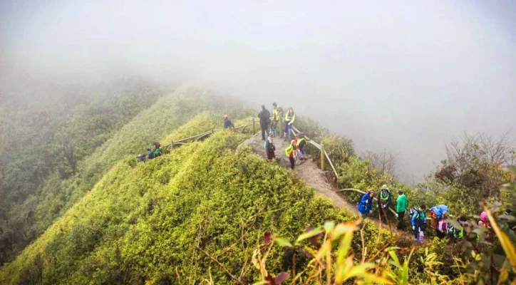 Fansipan mountain trekking