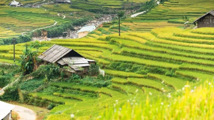 Let's explore the most beautiful terraced fields in Sapa!