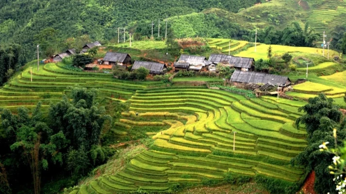 Rice terraces Ho Village