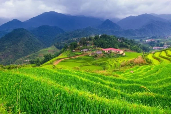 Rice terraces at Cat Cat Village