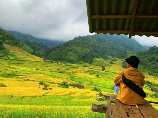 The beauty of Sapa.