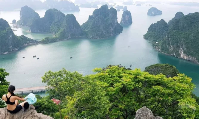 The surreal beauty of Halong Bay seen from the top of the mountain.