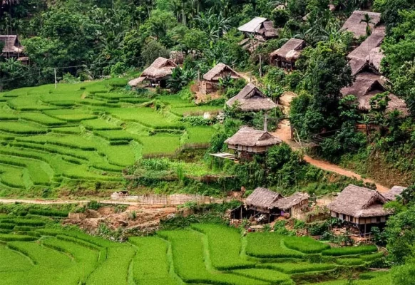 Pu Luong Nature Reserve