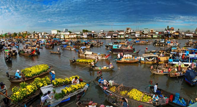 The bustle of Cai Rang Floating Market.