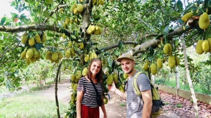 My Khanh Fruit Garden